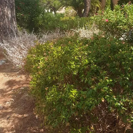 St Maxime Semesterbostad